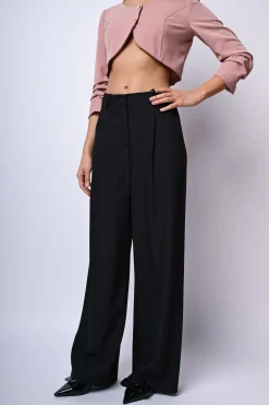 Pantaloni palazzo con pinces